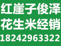 ˳ǿ׾