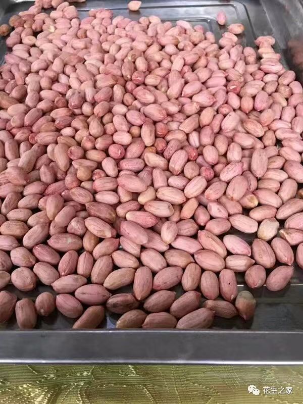 �ֻ���Ӧ���ֹ��³��11���ڷּ���