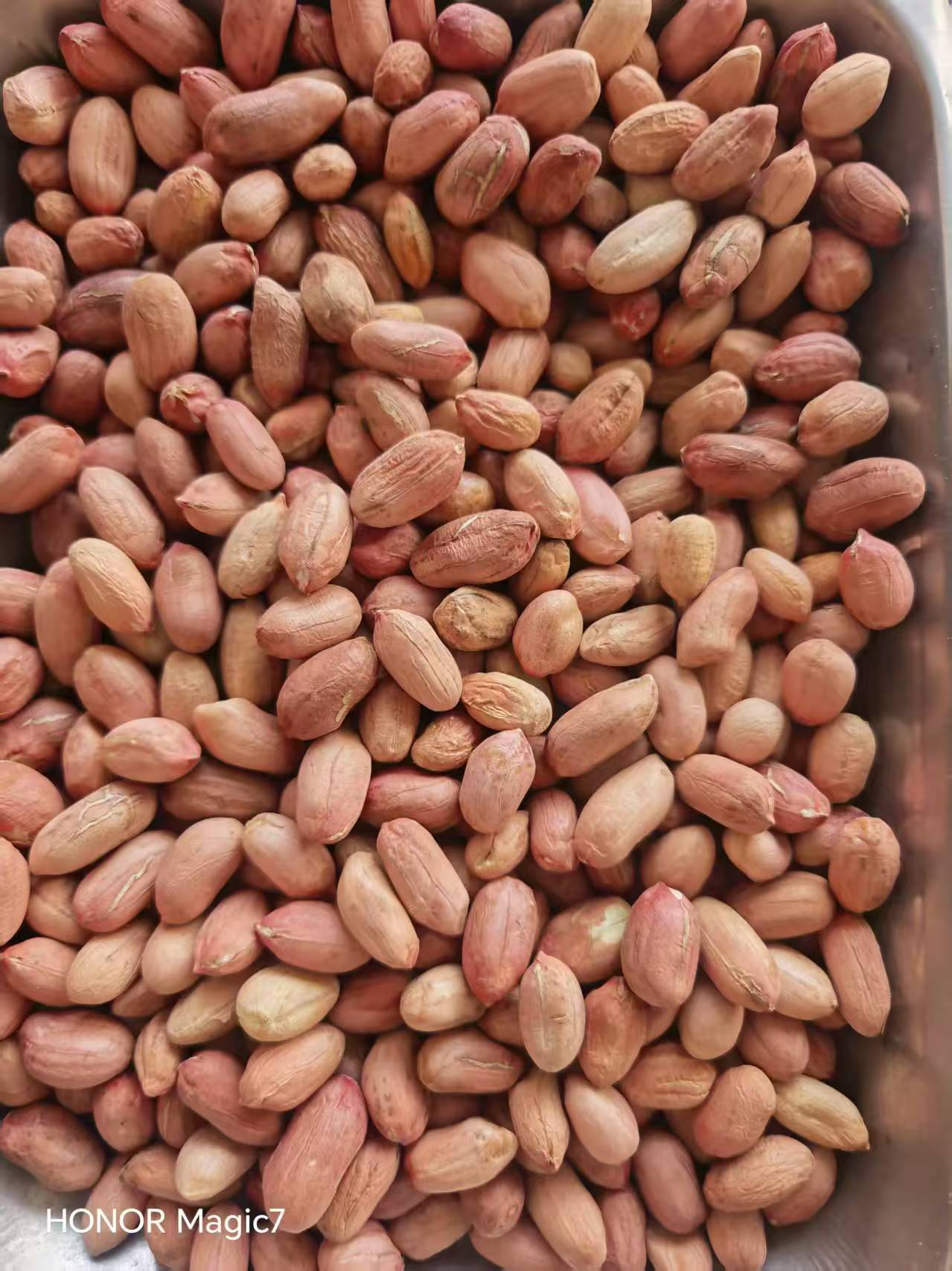 ���ڳ��ۿ�������ף�8 ��ɸ�ϣ�7--8 ����� �����ʣ�����ù