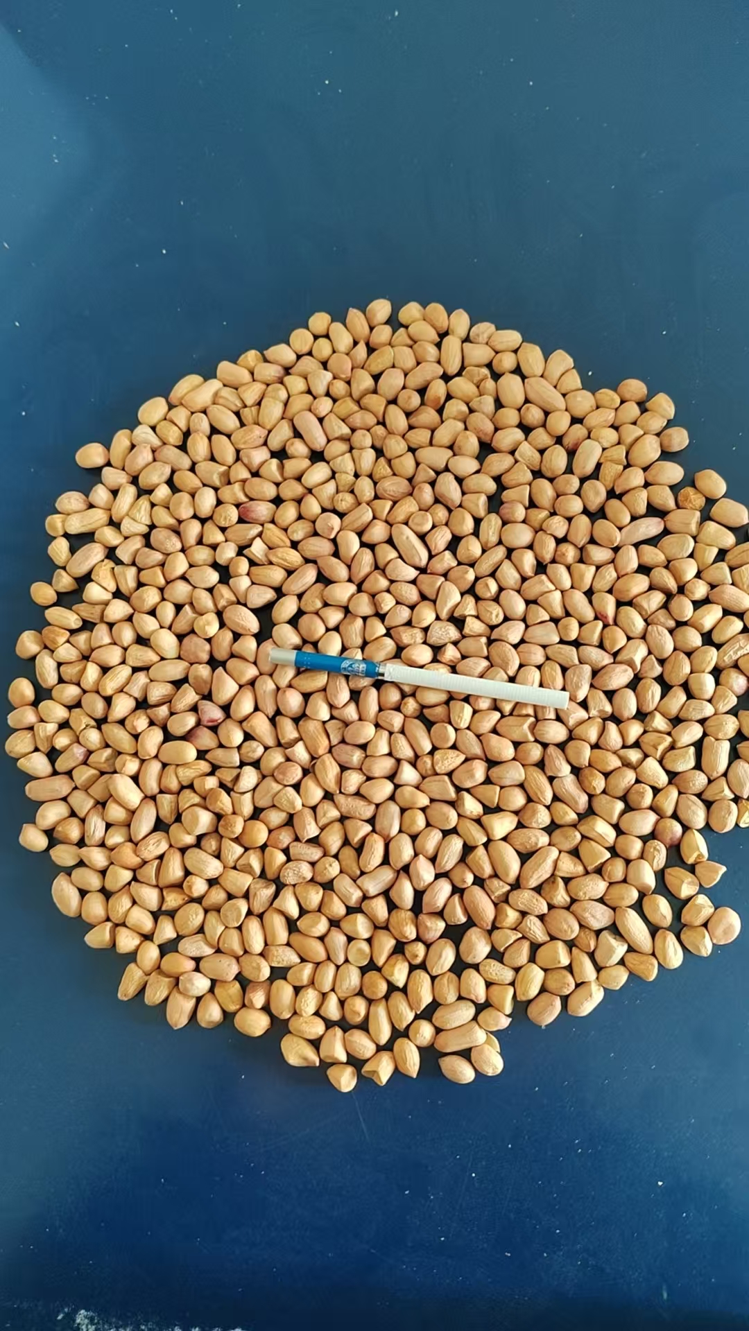 ������ͼ��������70/90����ף�����850����